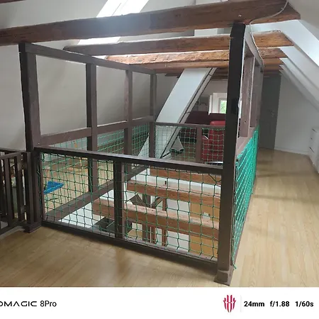 Grosse Im Grossbauernhaus